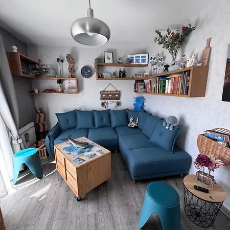 Maison Fleurie Aux Volets Bleus Feriehus *